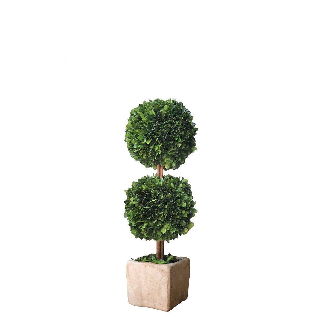 Preserved Double Boxwood Topiary 40cm.