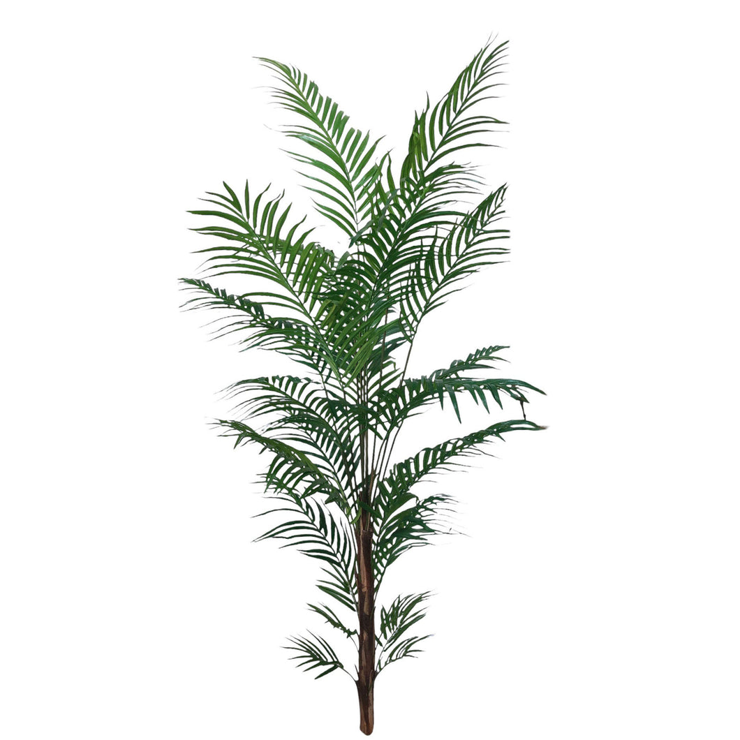 De Luxe Areca Palm Tree 214cm.