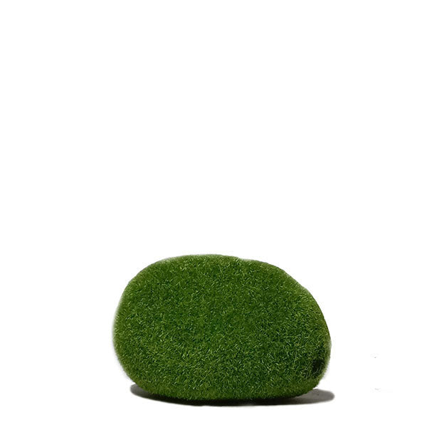 Moss Stone #6