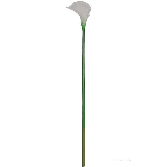 Large Calla Lily 117cm.