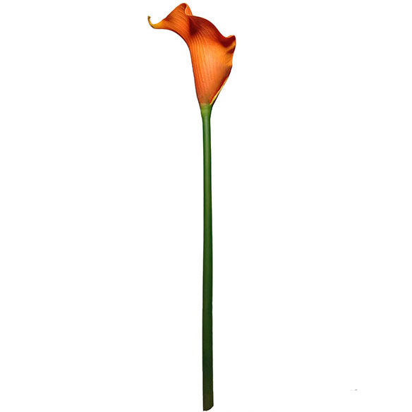 Large Calla Lily 117cm.