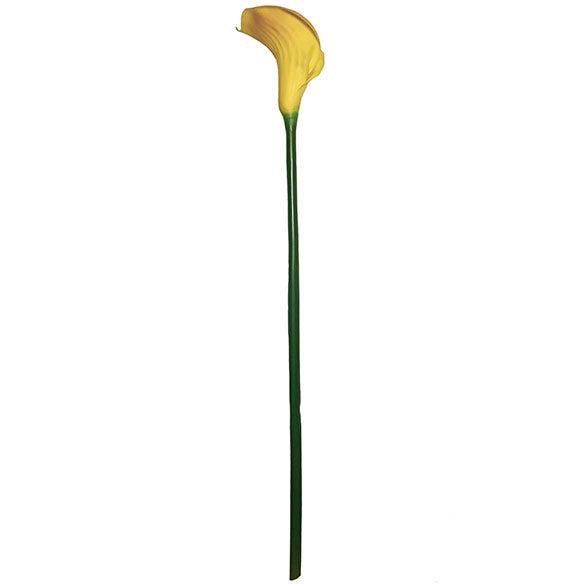 Large Calla Lily 117cm.