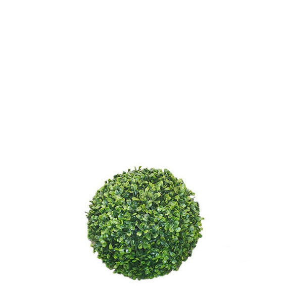 Boxwood Topiary 23cm.