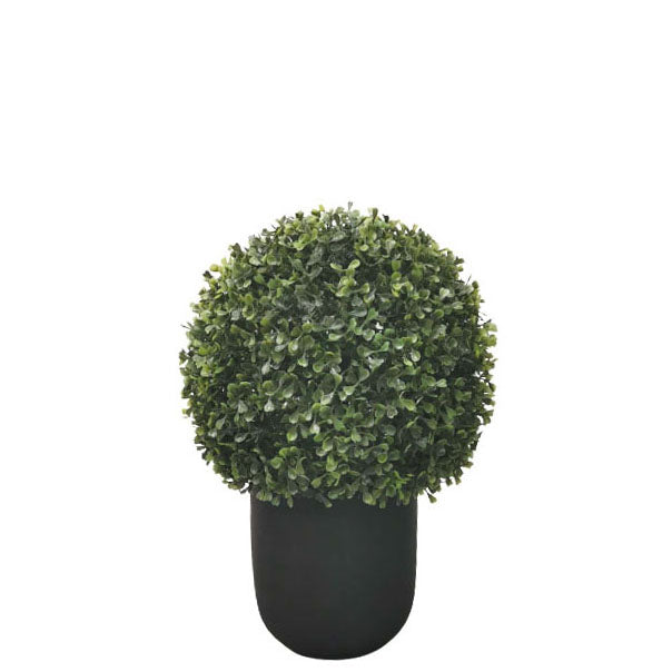 Boxwood Topiary 43cm.