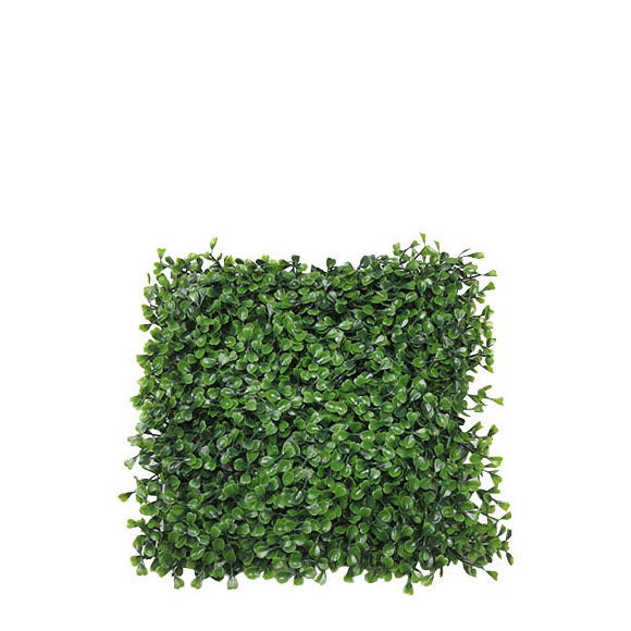 Boxwood Mat 29cm.