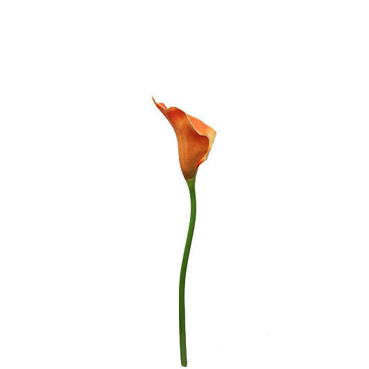 Single Calla Lily Spray 66cm.