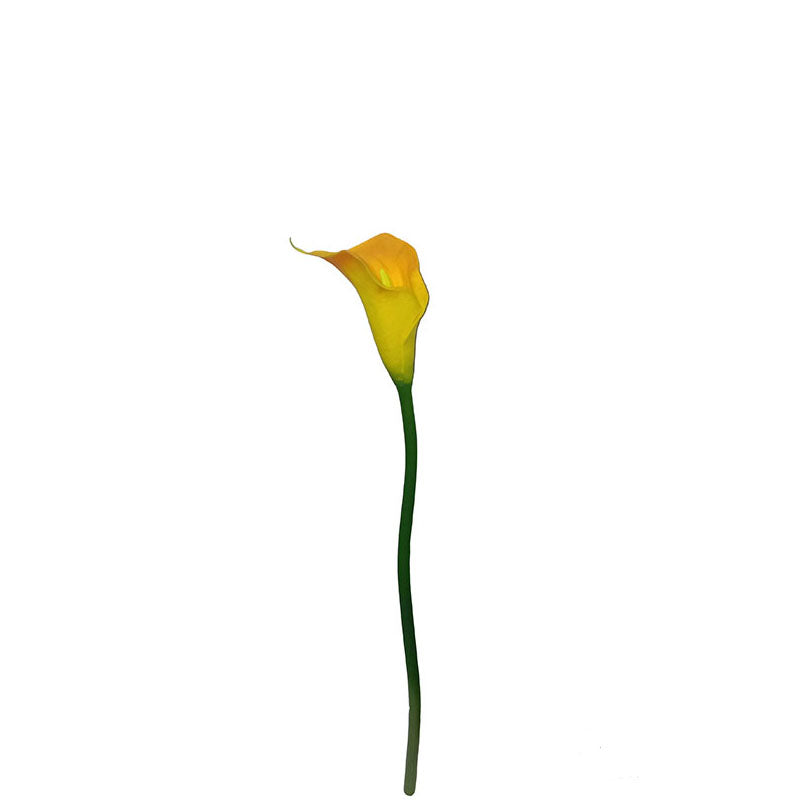 Single Calla Lily Spray 66cm.