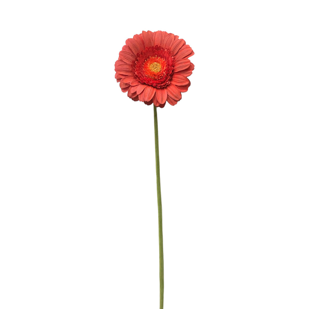 African Gerbera Spray 68cm.