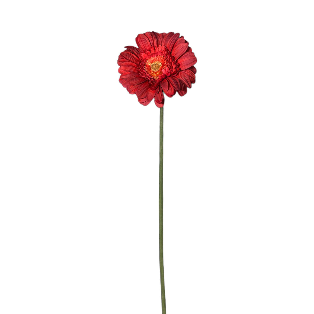 African Gerbera Spray 68cm.