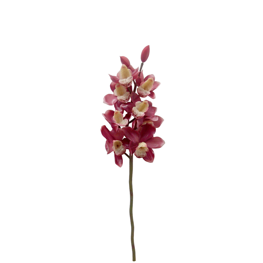 Cymbidium Spray 70cm.