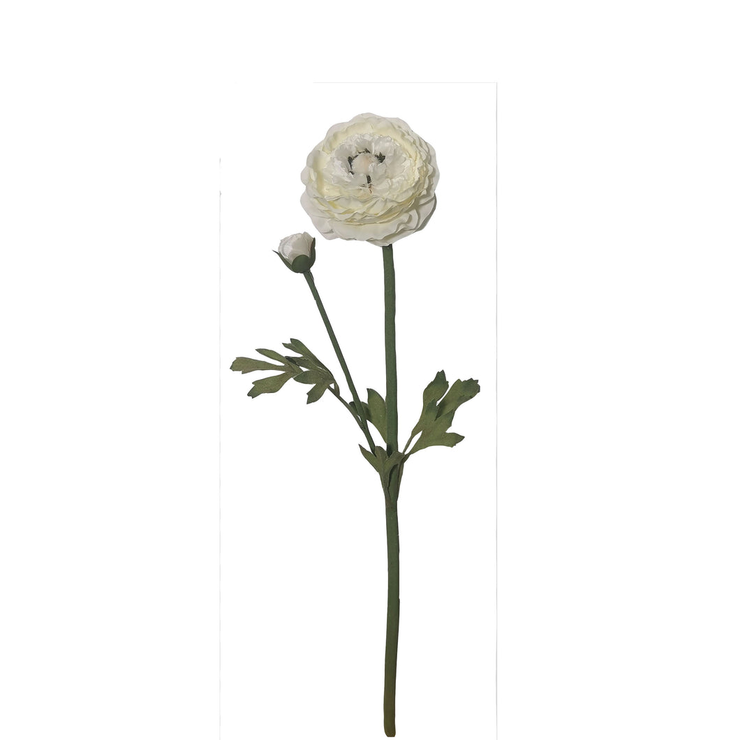 Ranunculus Spray 50cm.