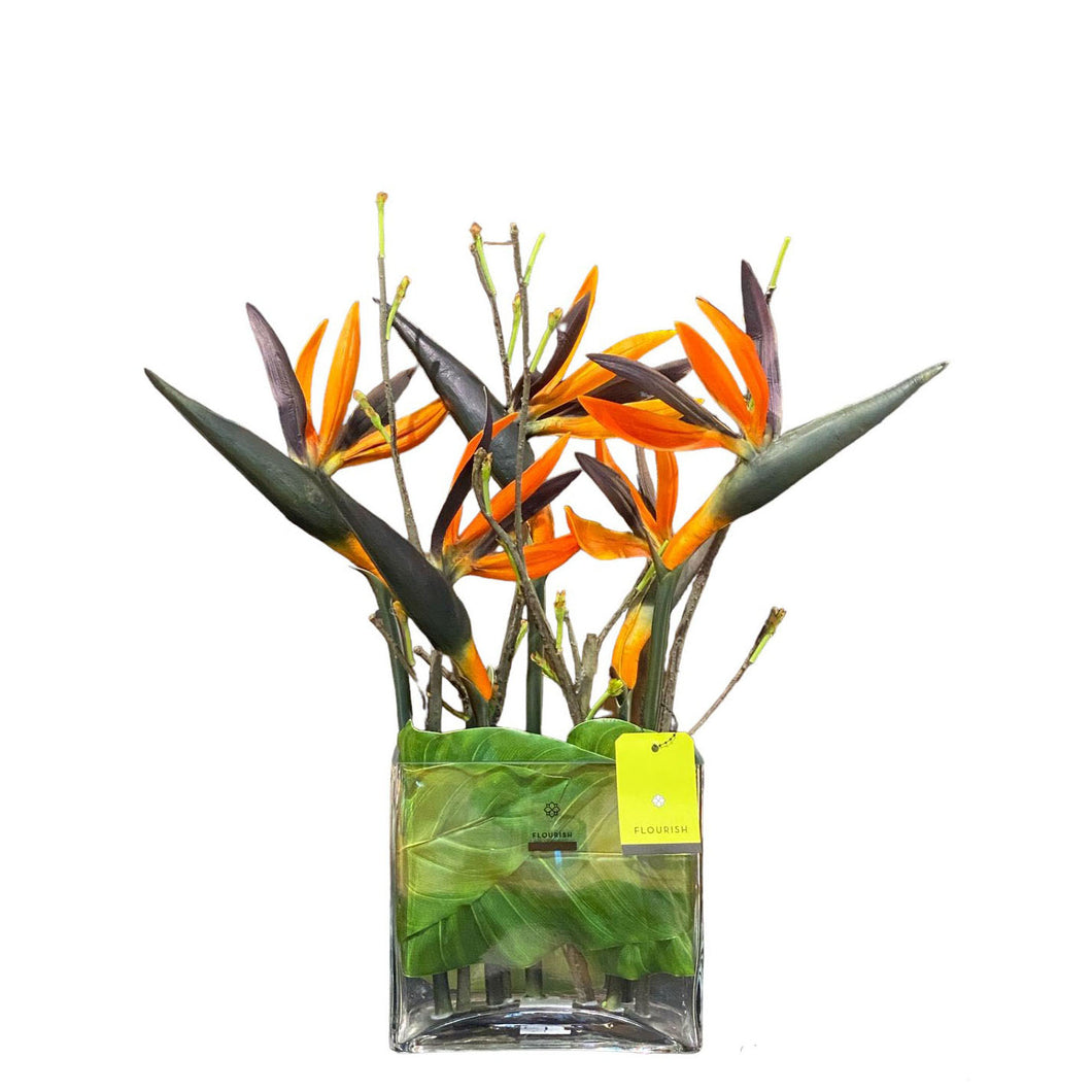 Bird of Paradise Arrangement