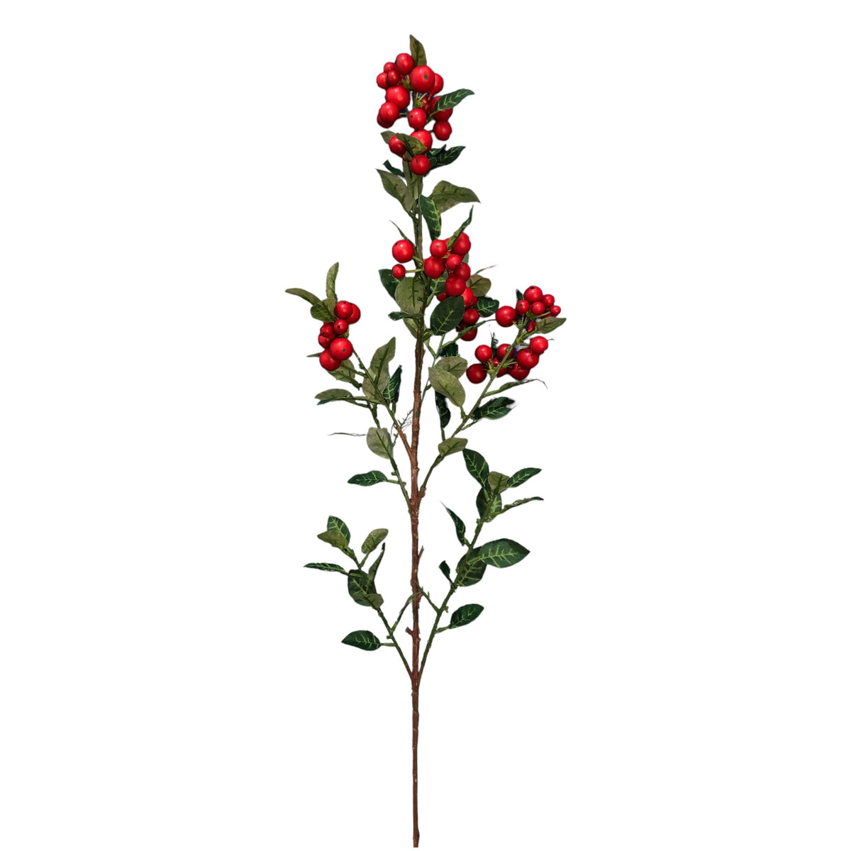 Pyracantha Berries 81cm. – Flourish_ph