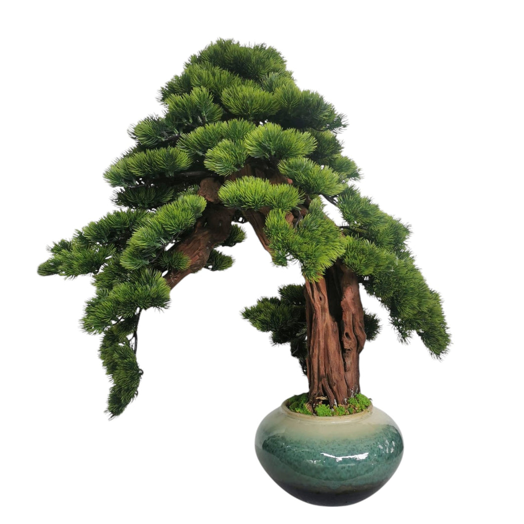 Bonsai with Pot