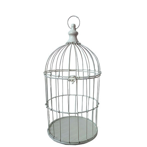 Robin Bird Cage