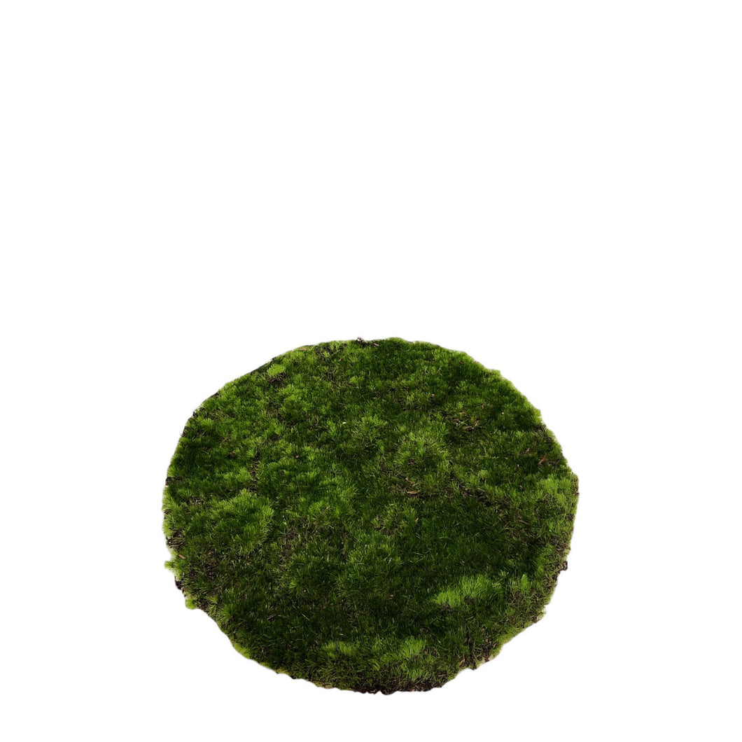 Round Moss Turf 26cm.