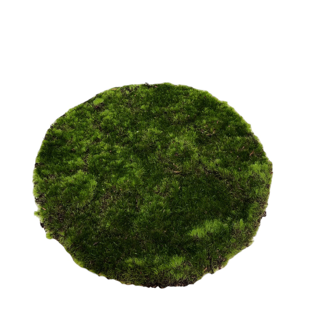 Round Moss Turf 42cm.