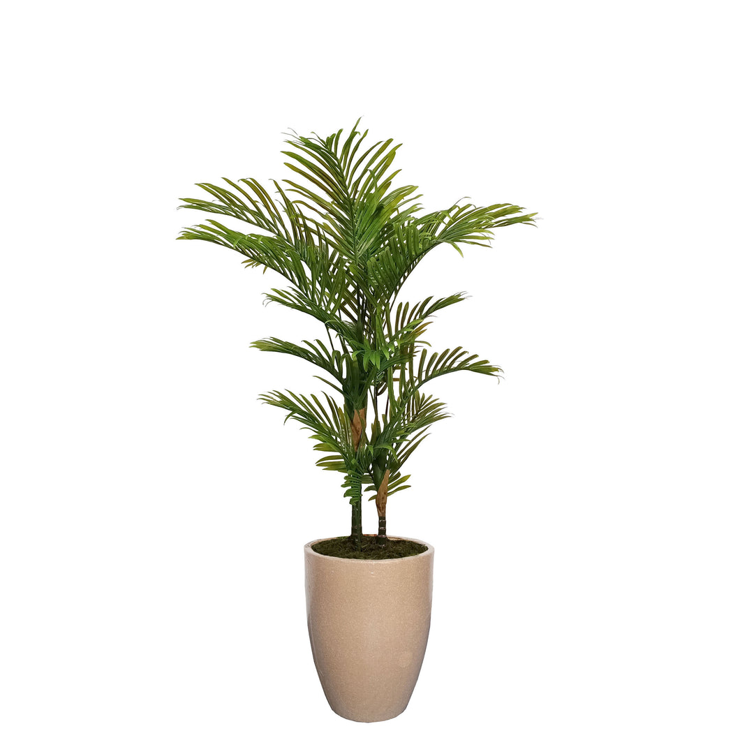 Areca Palm Tree 130cm.