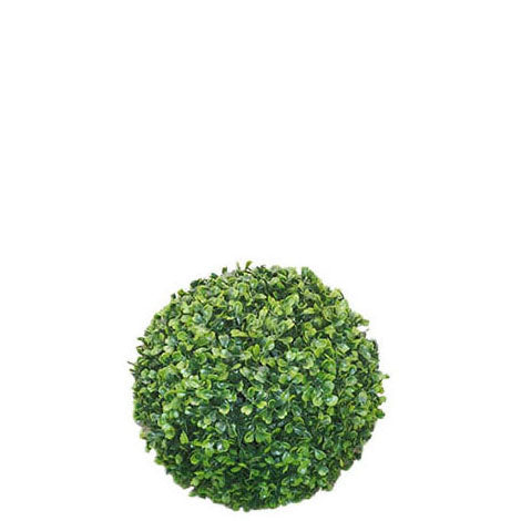 Boxwood Topiary 30.5cm.