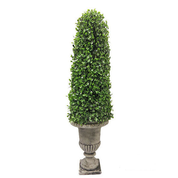 Boxwood Topiary with Pot 70cm.