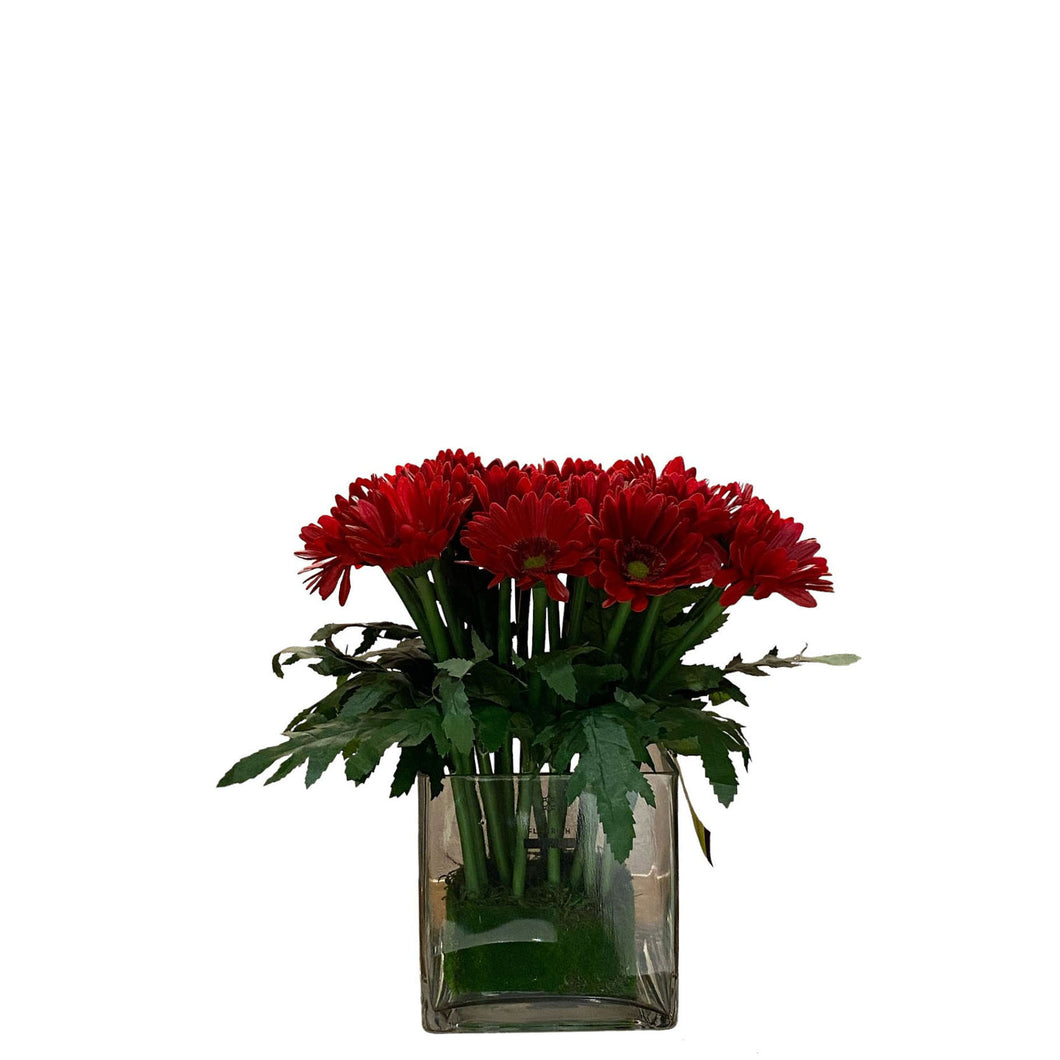 Gerbera Arrangement