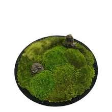 Load image into Gallery viewer, Moss Arrangement
