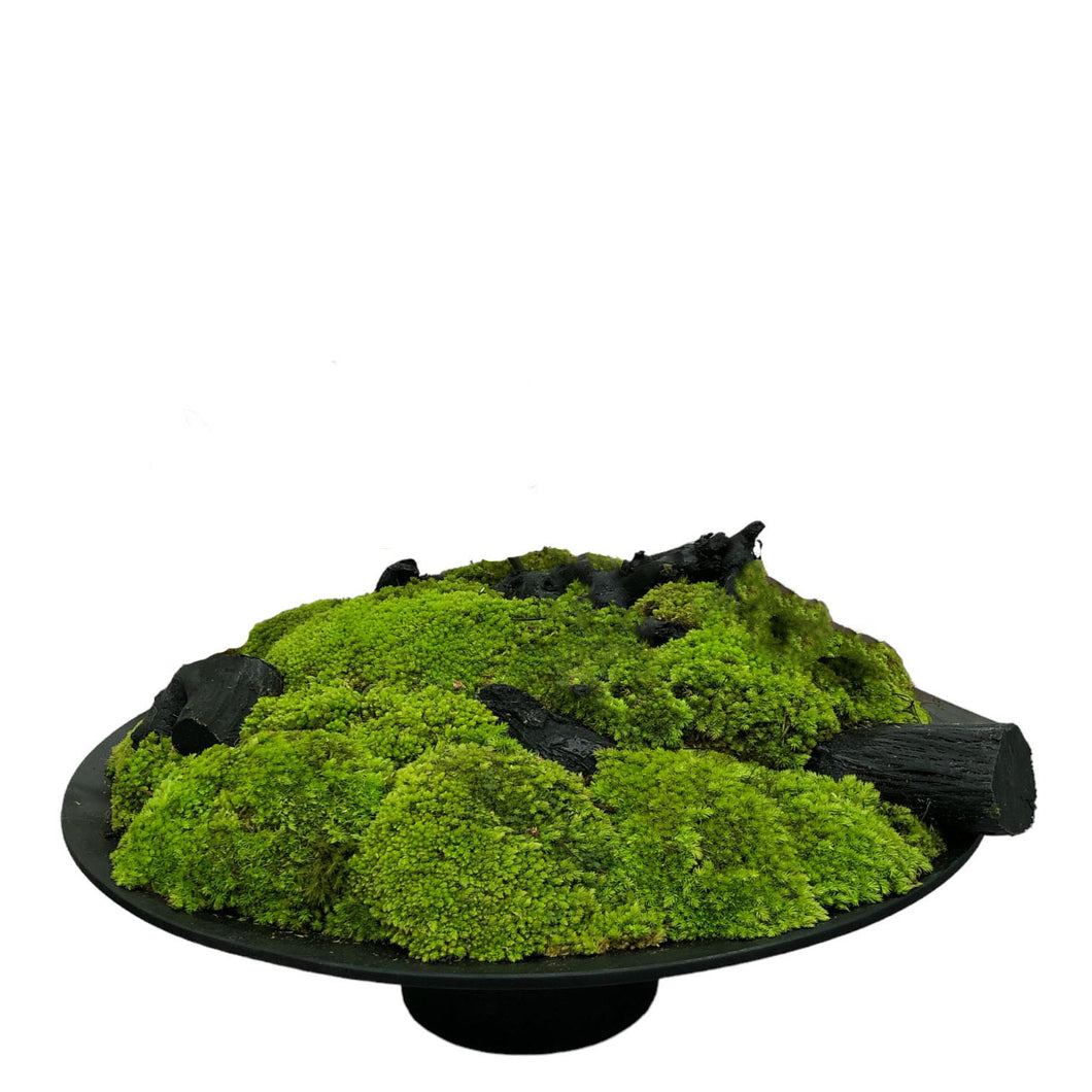 Moss Arrangement