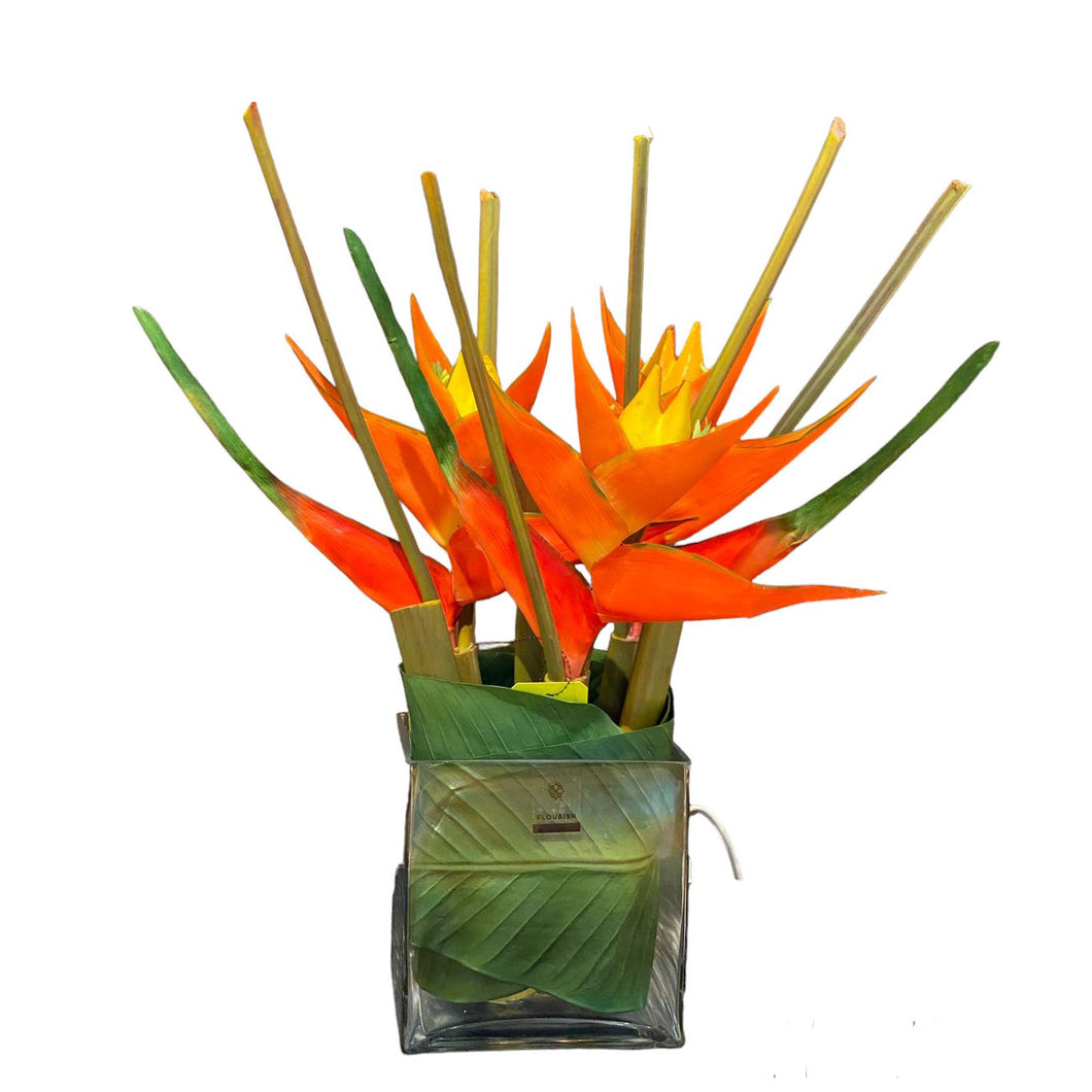 Heliconia Arrangement