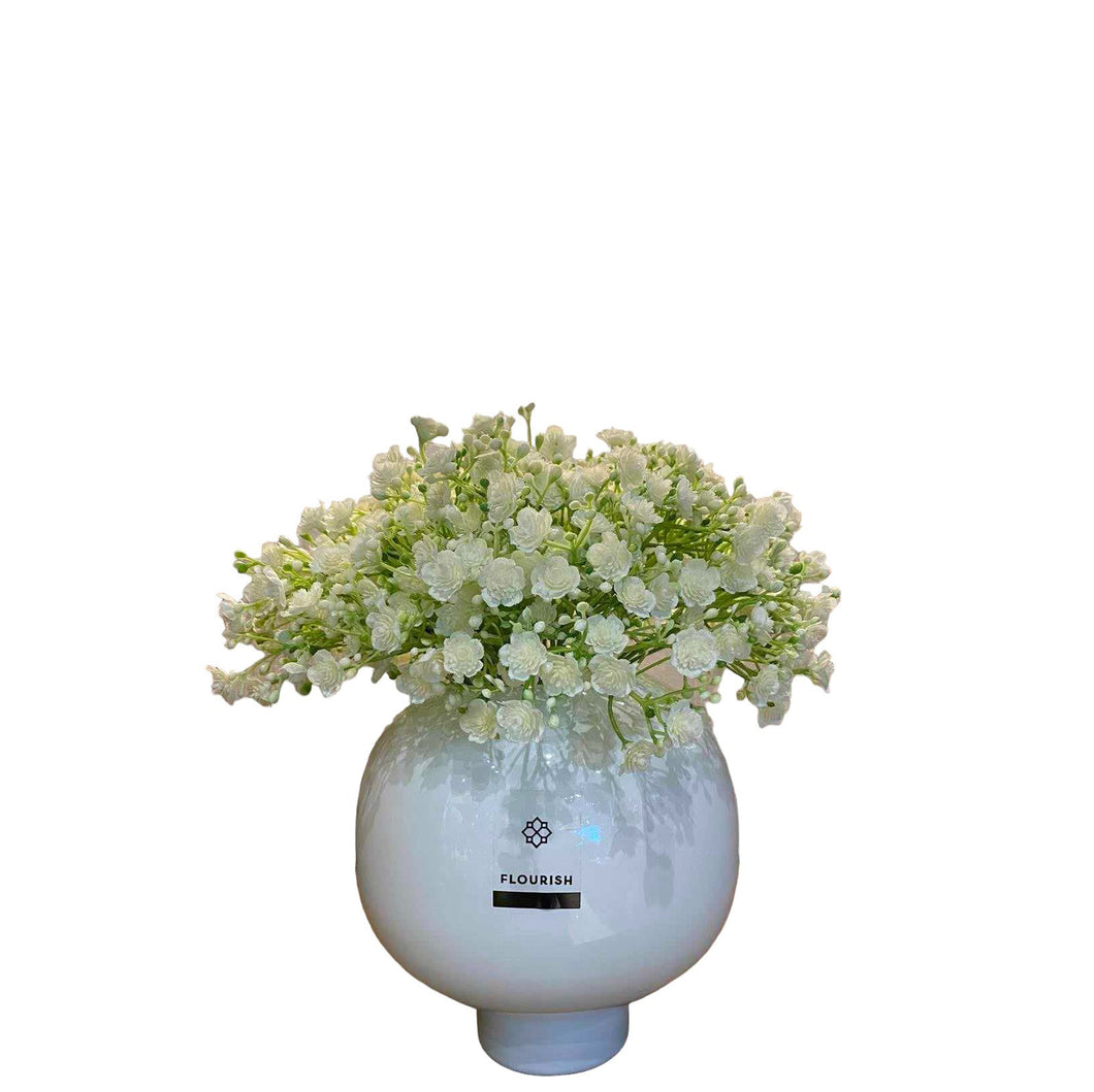 MKFA0110 Gypsophilia Arrangement