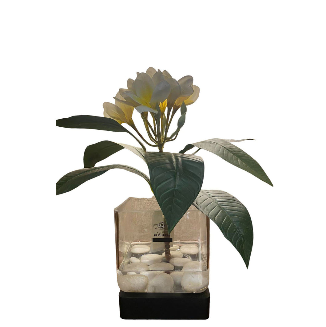 MKFA0207 Frangipani Arrangement in Resin (Small)