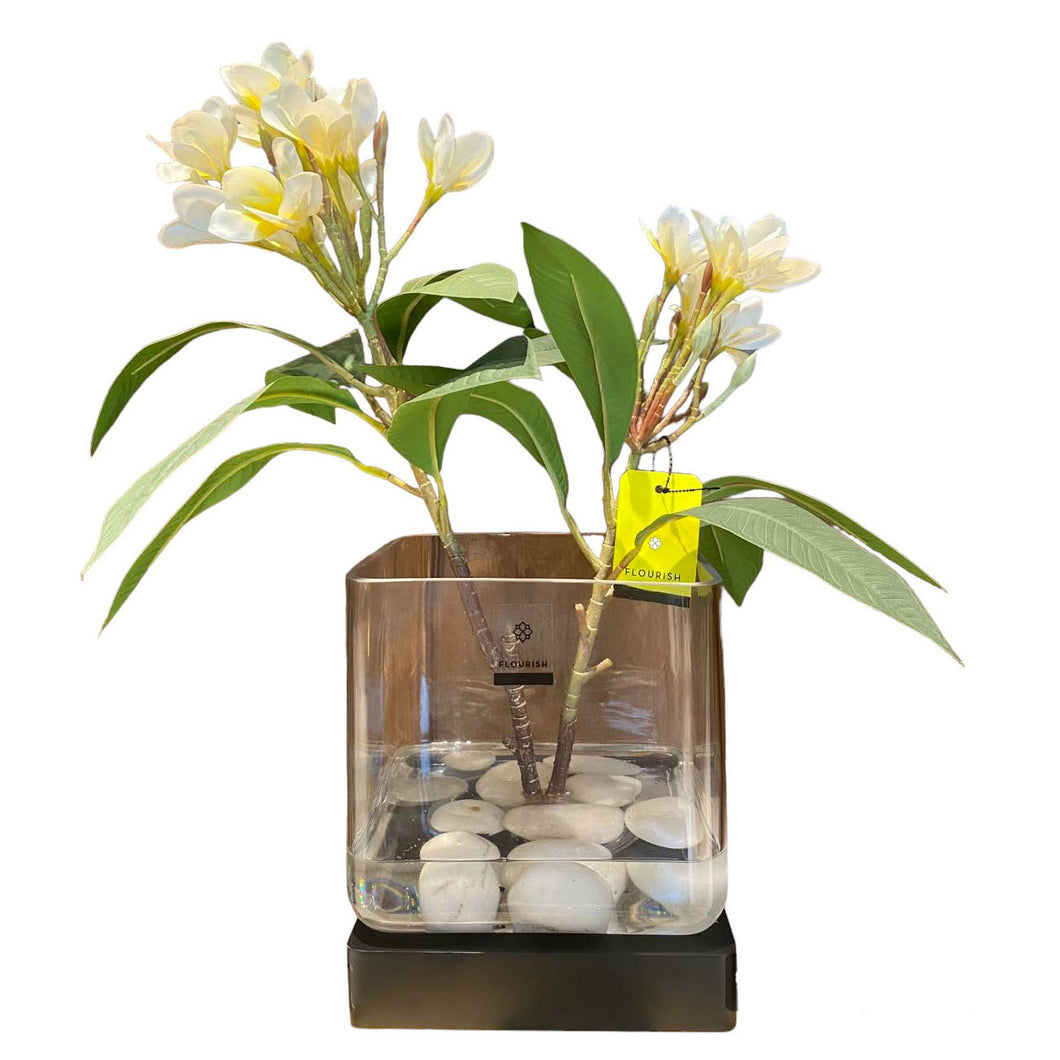 MKFA0208 Frangipani Arrangement in Resin (Big)