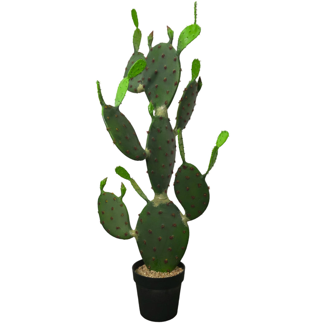 Nopal Cactus 117cm.