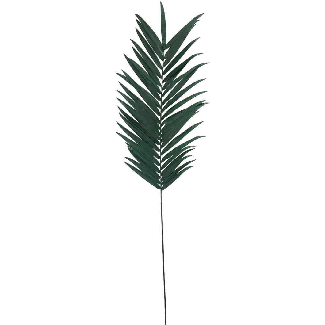 Palm Leaf 242cm.