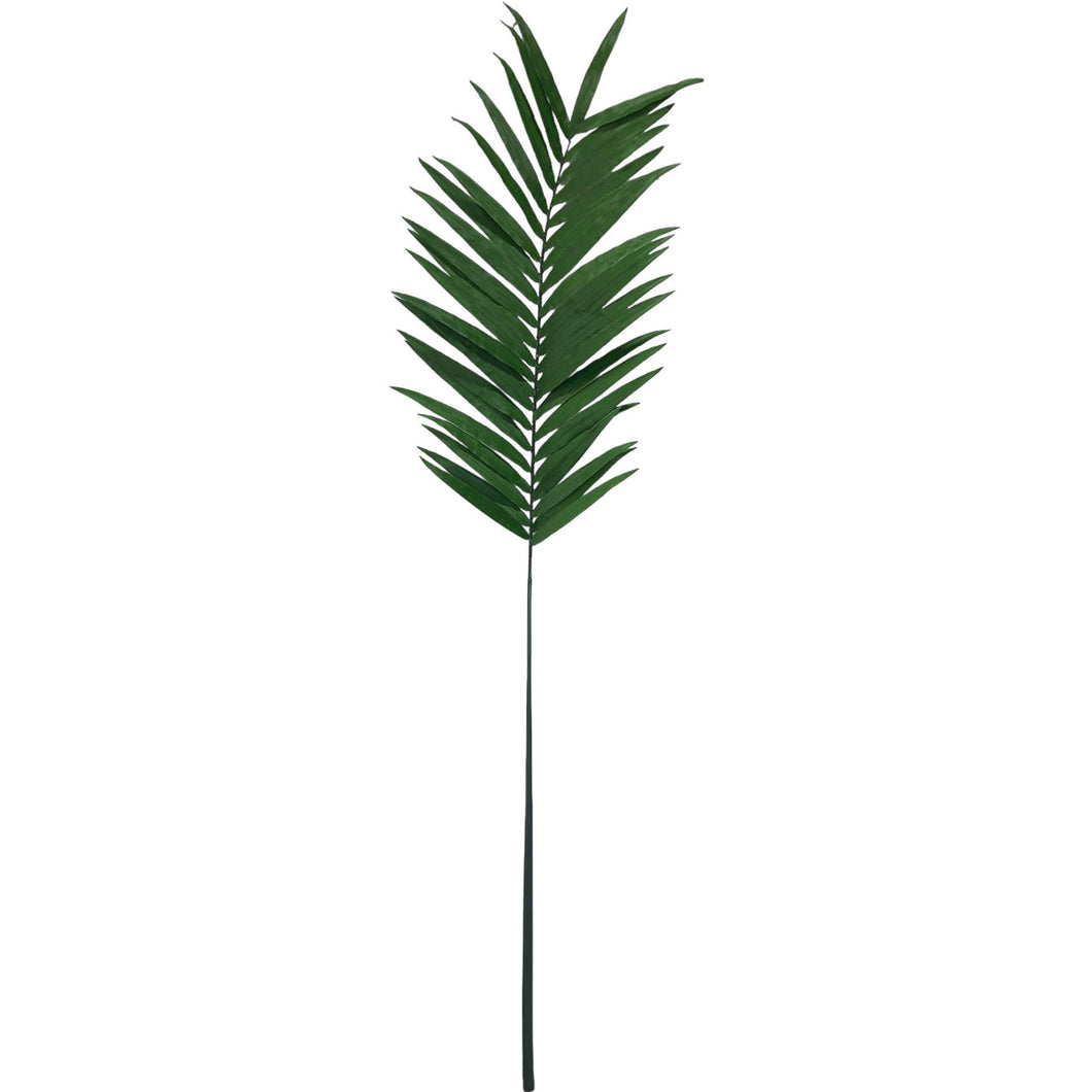 Palm Leaf 242cm.