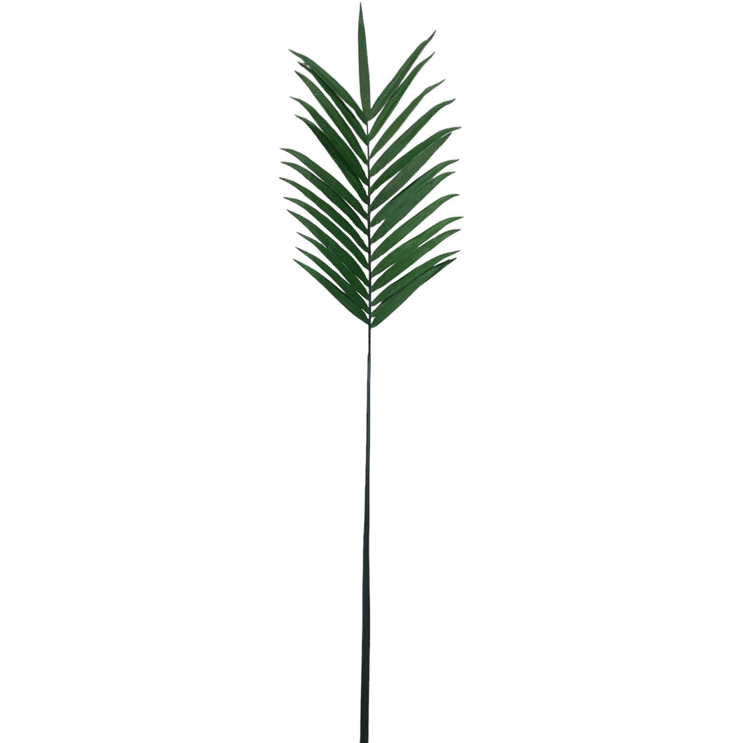 Palm Leaf 207cm.