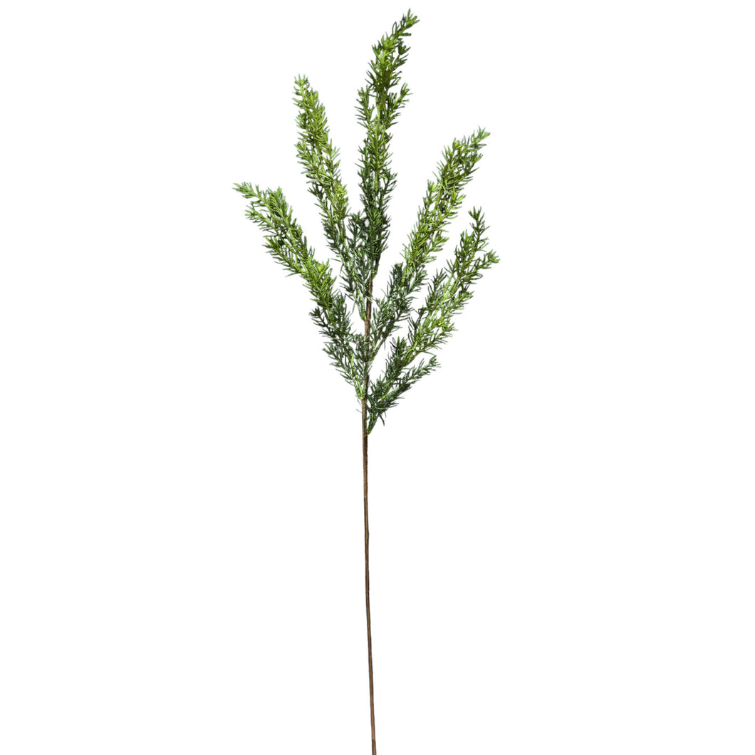 Small Rosemary Branch 76cm.