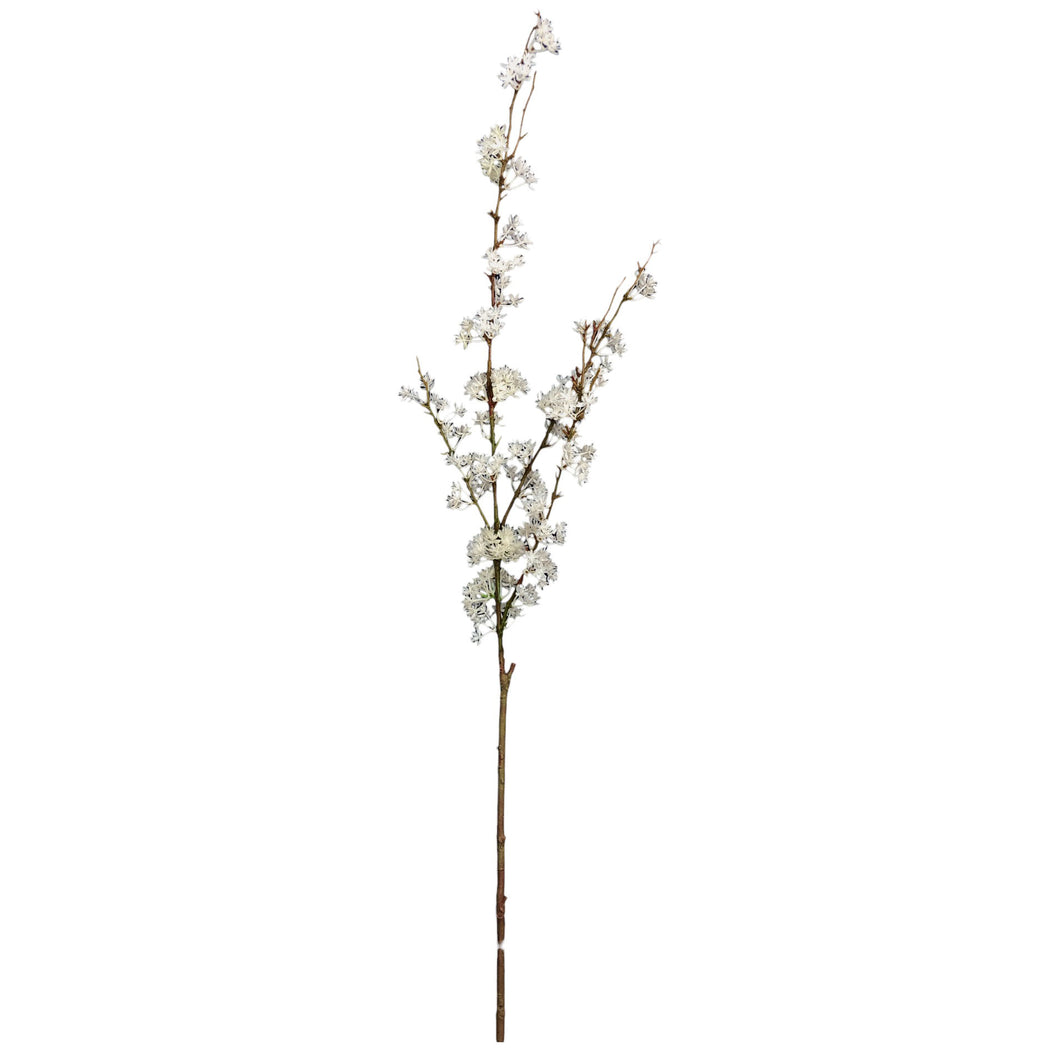 White Forsythia 116cm.