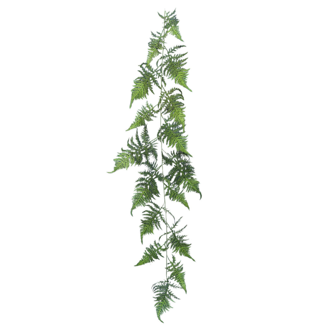 Asparagus Fern 132cm.