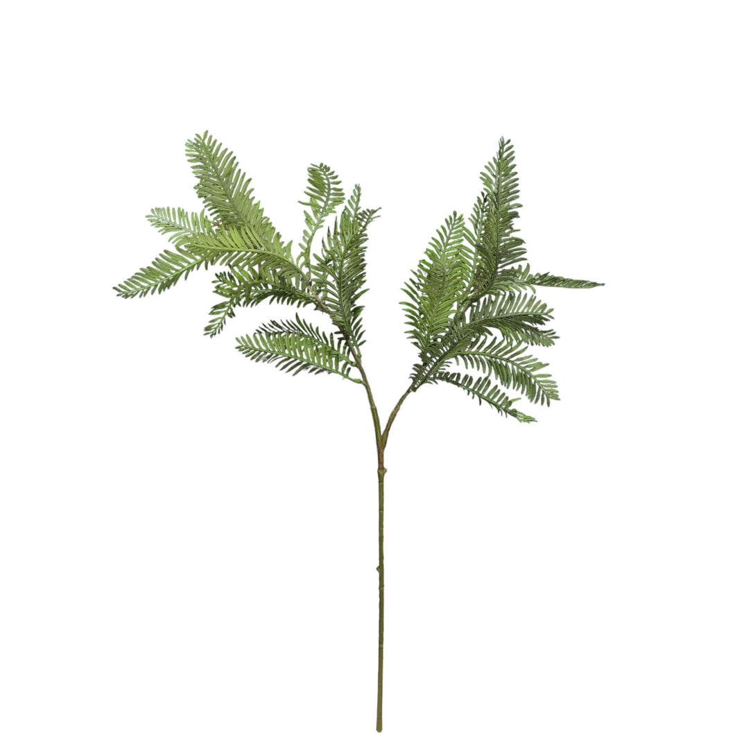 Fern Branch 65cm.