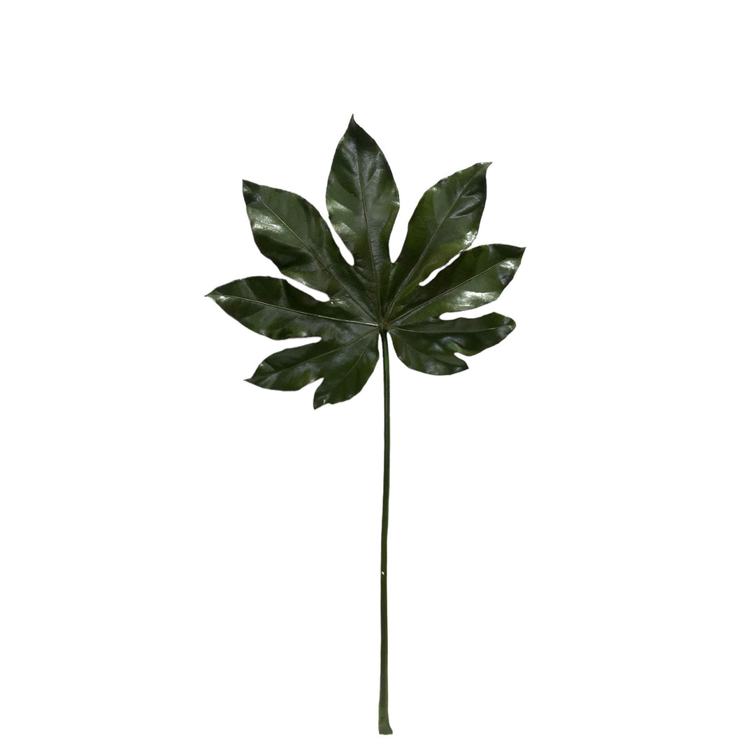 Fatsia Leaf 73cm.