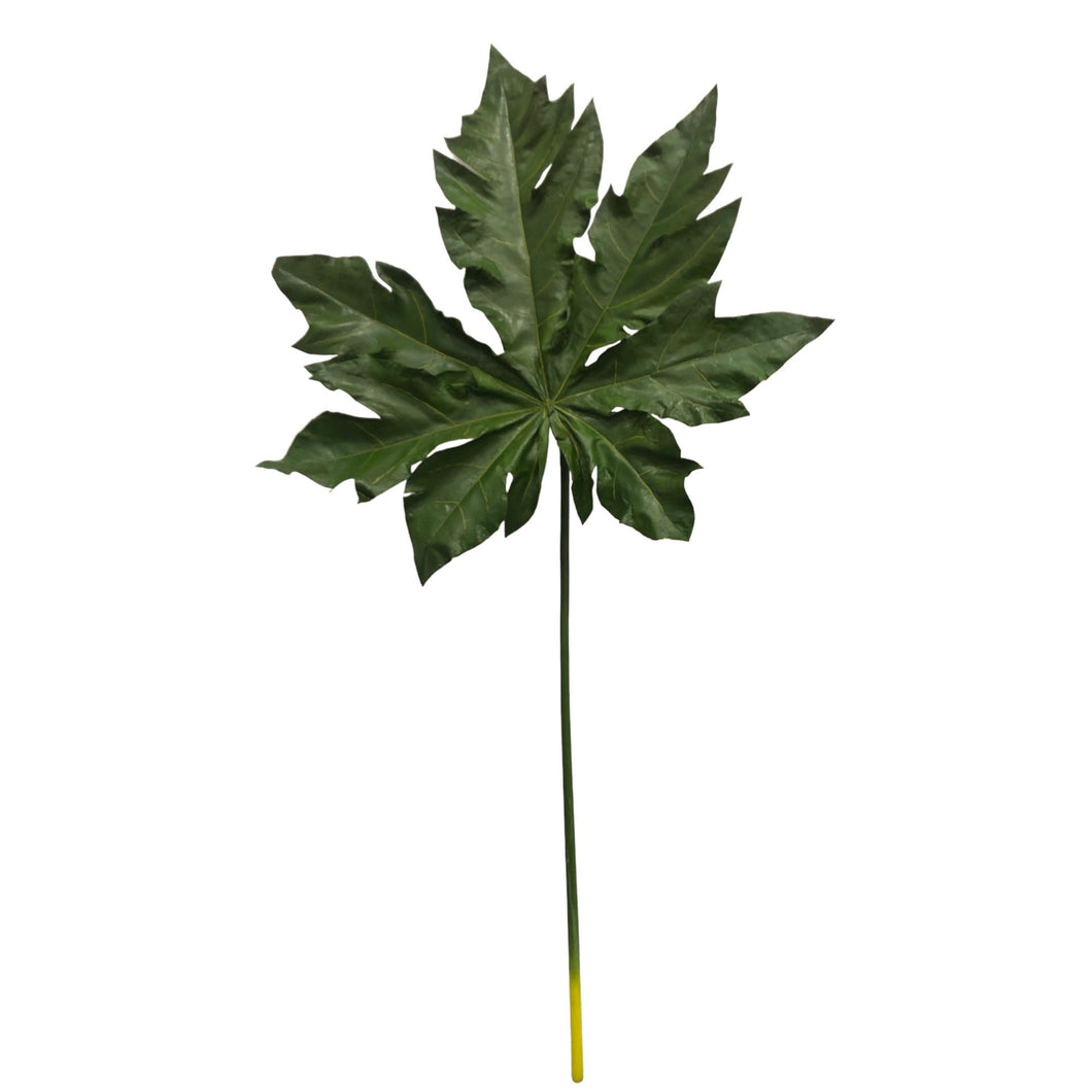 Papaya Leaf 109cm.