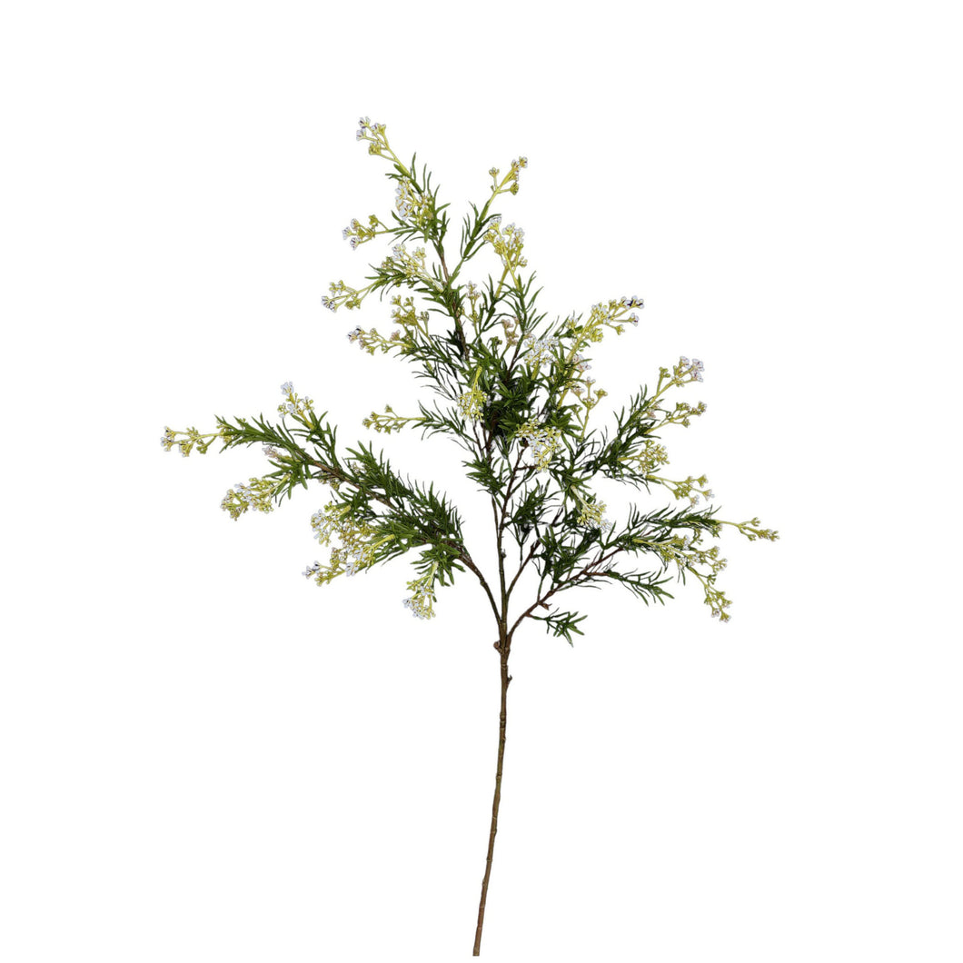 Rosemary Branch 107cm.