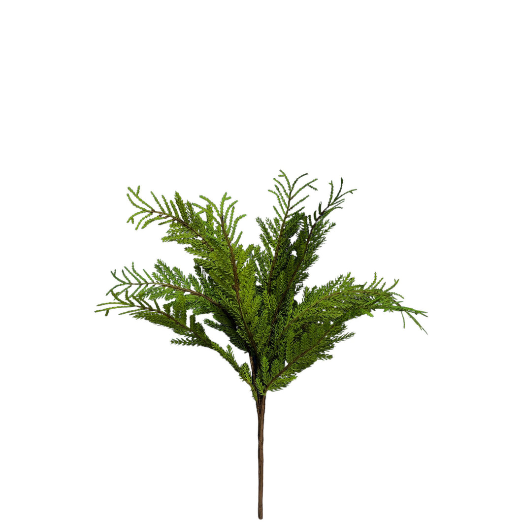 Cypress Bush 46cm.