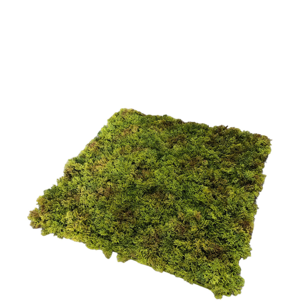 Moss Turf 50cm.