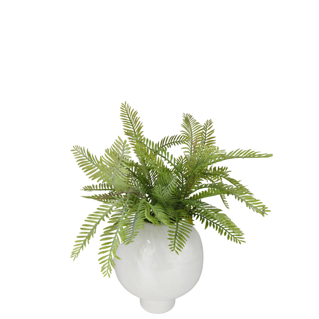 NDFA059 Fern Branch Arrangement