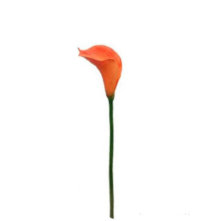 Single Calla Lily 74cm.