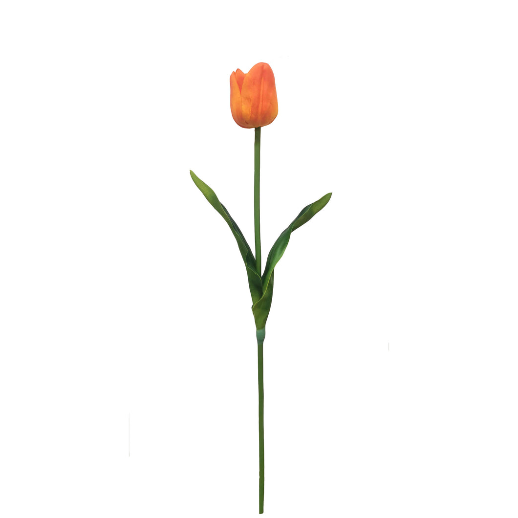 Single Tulip Spray 67cm.