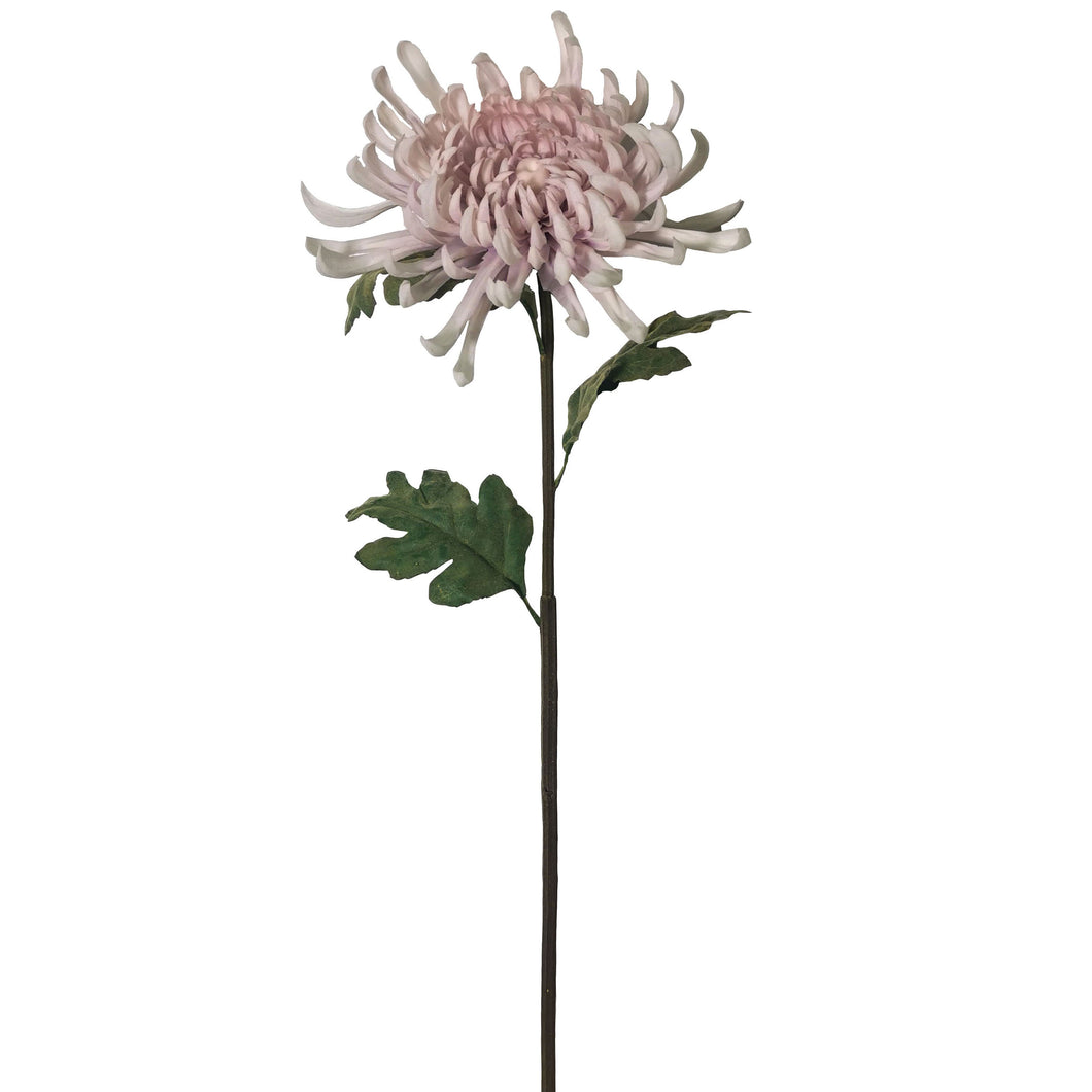 Spider Chrysanthemum Spray 83cm.