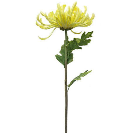 Spider Chrysanthemum Spray 83cm.