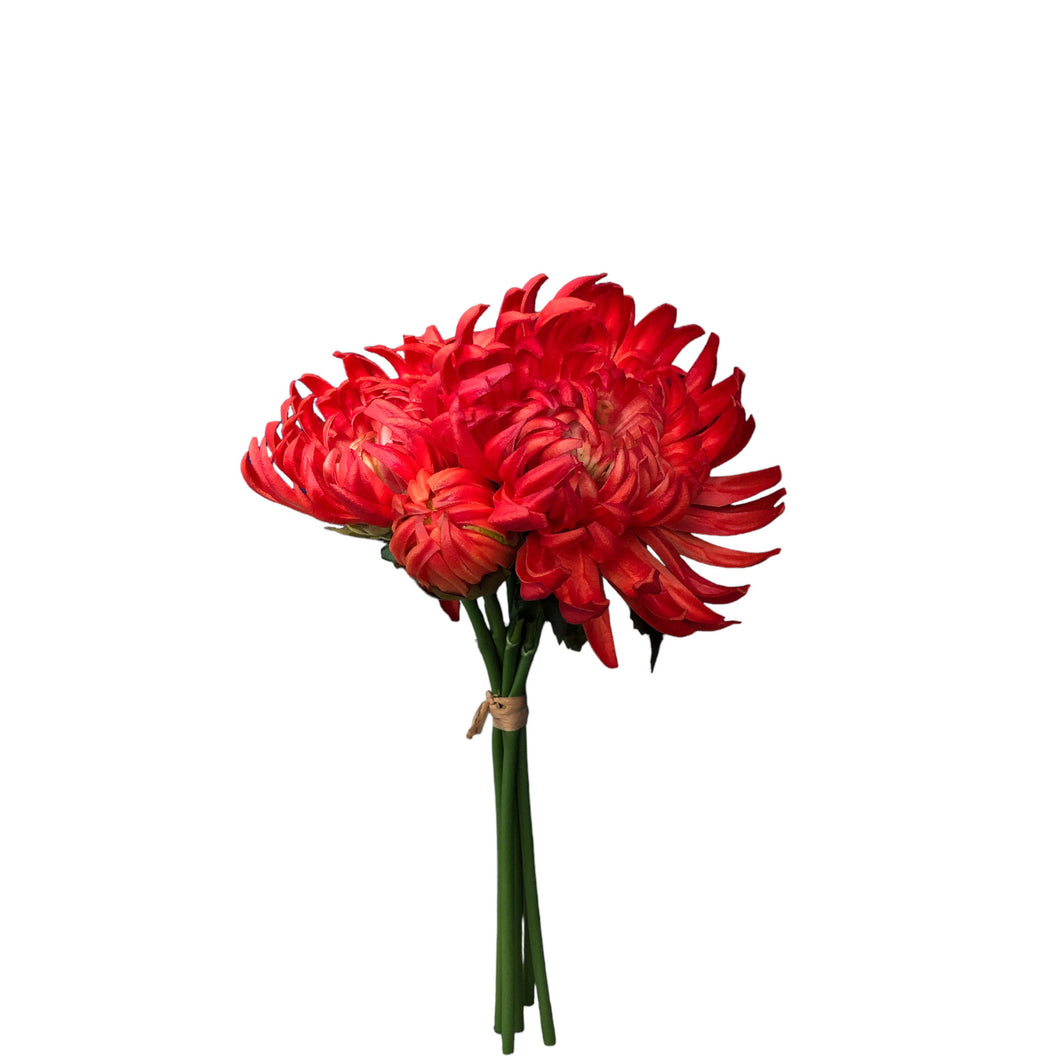 Spider Chrysanthemum Bundle 29cm.